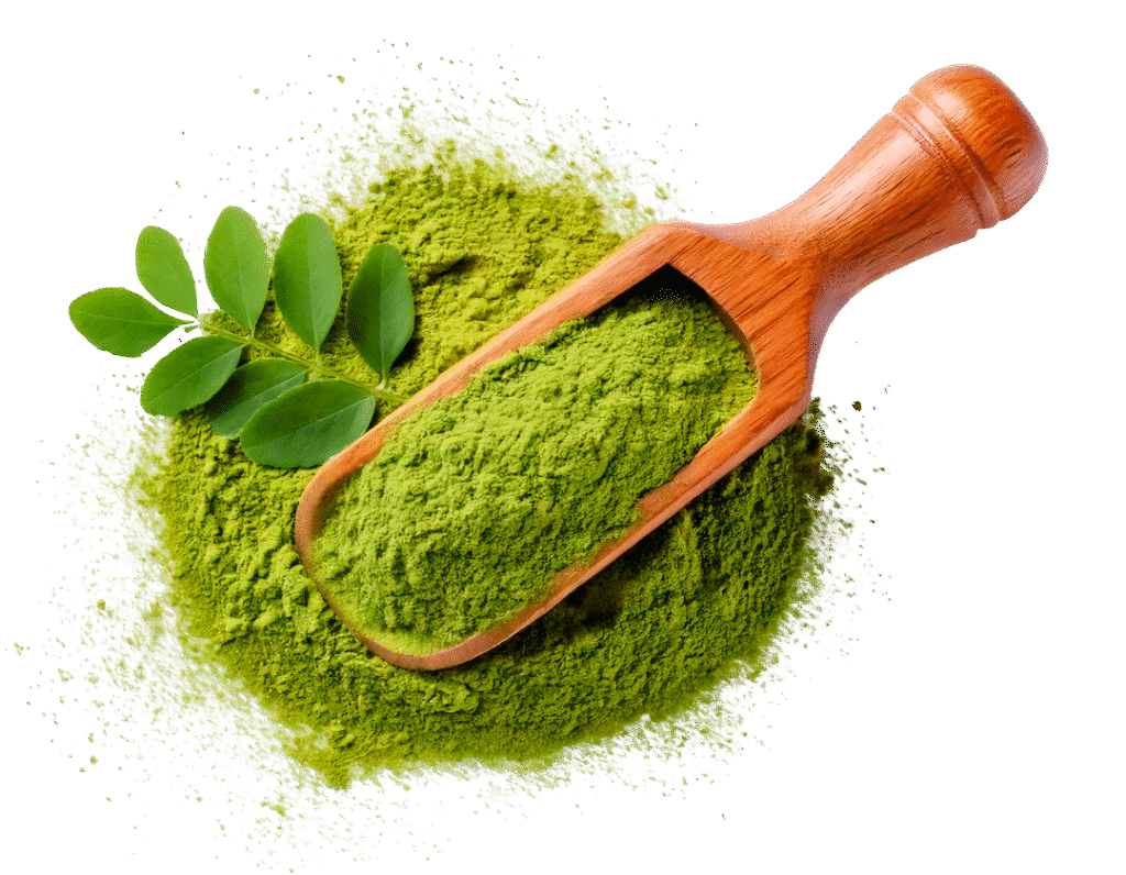 Moringa Powder
